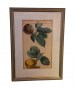 1039-1-altkolorierte-lithographie-um-1840