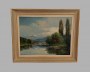 567-2-rhein-landschaft