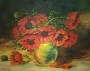 660-5-mohnblumen-konstanz