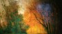 664-6--karel-hodr-parklandschaft